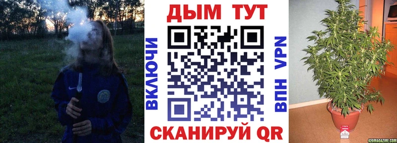 как найти наркотики  Кола  Бошки марихуана план 